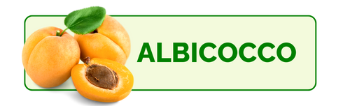 Albicocco