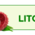 Litchi