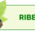 Ribes